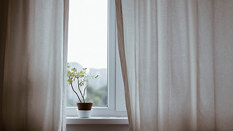 A window with drapes open and a plant on the windowsill
