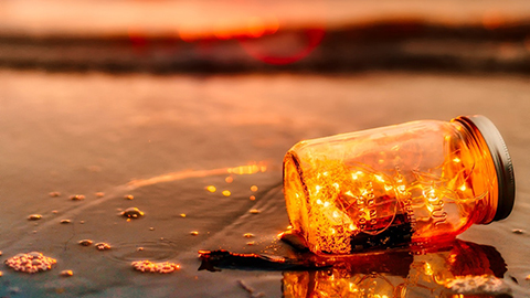 A jar washed ashore on a beach at sunset. 