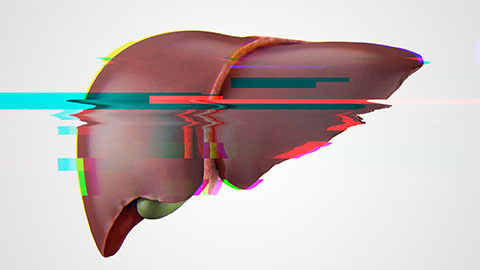 Computer graphic of a liver that is glitchy and distorted