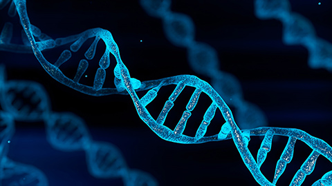 A computer animated image of a DNA strand colored blue set against a black background.
