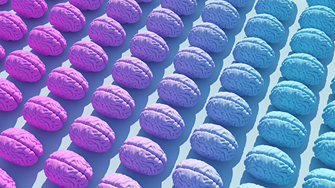 Animated images of brains in a gradient pattern from pink to blue.
