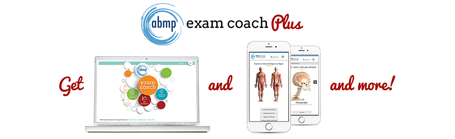MBLEx Practice Tests & Study Guides | ABMP Exam Coach Plus