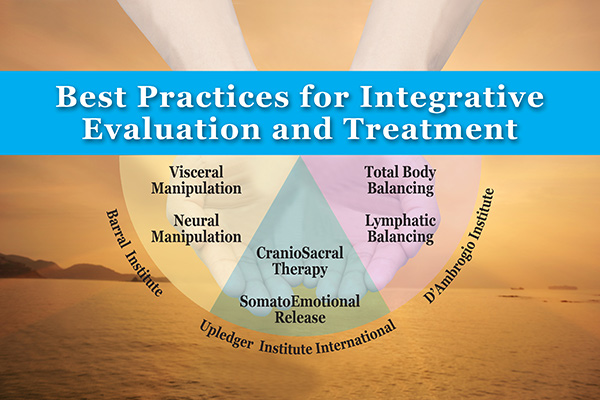 Chart showing Best Practices for Integrative Evaluation and Treatment from Upledger International