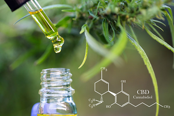 CBD tincture in a dropper with cannabis plant and CBD molecular structure. 