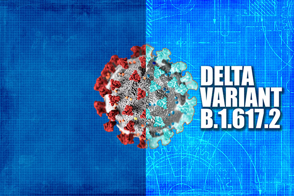 Digital illustration of COVID virus molecule labeled "Delta Variant" 