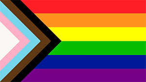 The Progress LGBTQ+ Flag