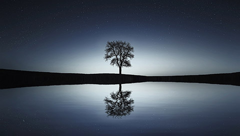 An image of a tree at twilight reflecting against water underneath stars.