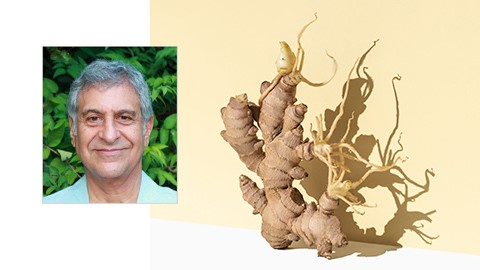 Author and massage therapist Bob Haddad offset image next to ginger root.