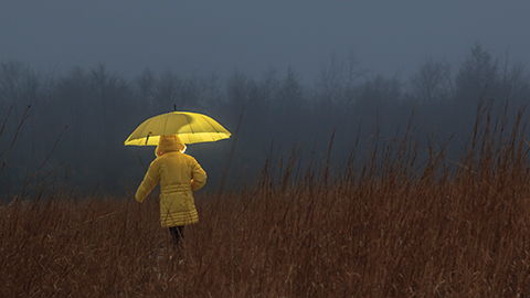 Girl in a field in the rain holding a yellow umbrella