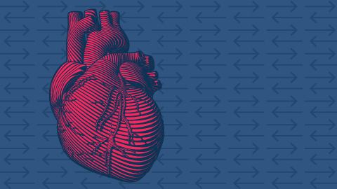 Illustration of a red human heart on a blue background
