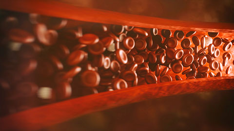 Red blood cells flowing through an artery