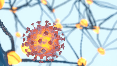 Digital illustration of a coronavirus molecule.