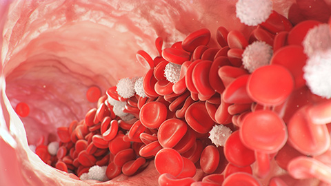 Red blood cells and platelets in an artery