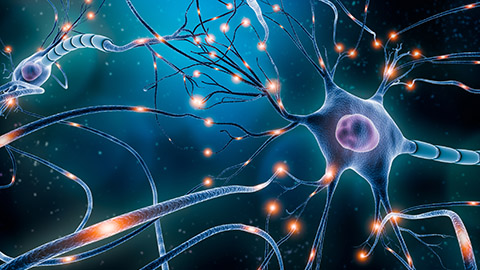 CGI rendering of neurons in the brain 