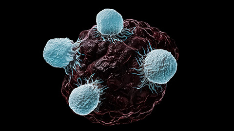 Digital illustration of T-cell Lymphoma.