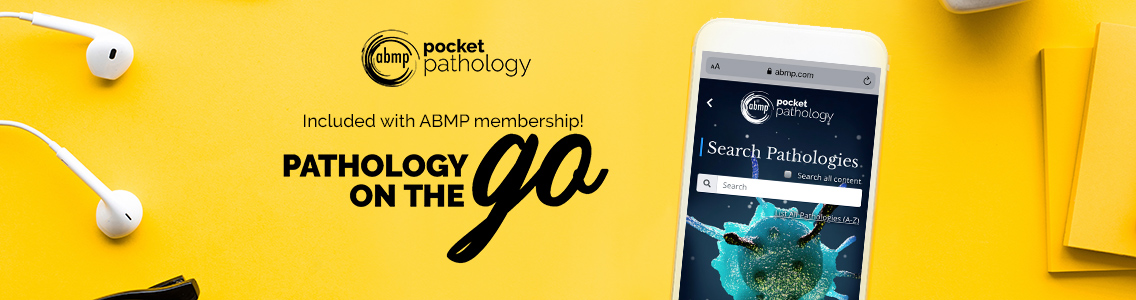 a smartphone on a yellow background with Pocket Pathology home screen