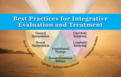 Upledger Institute International Chart.